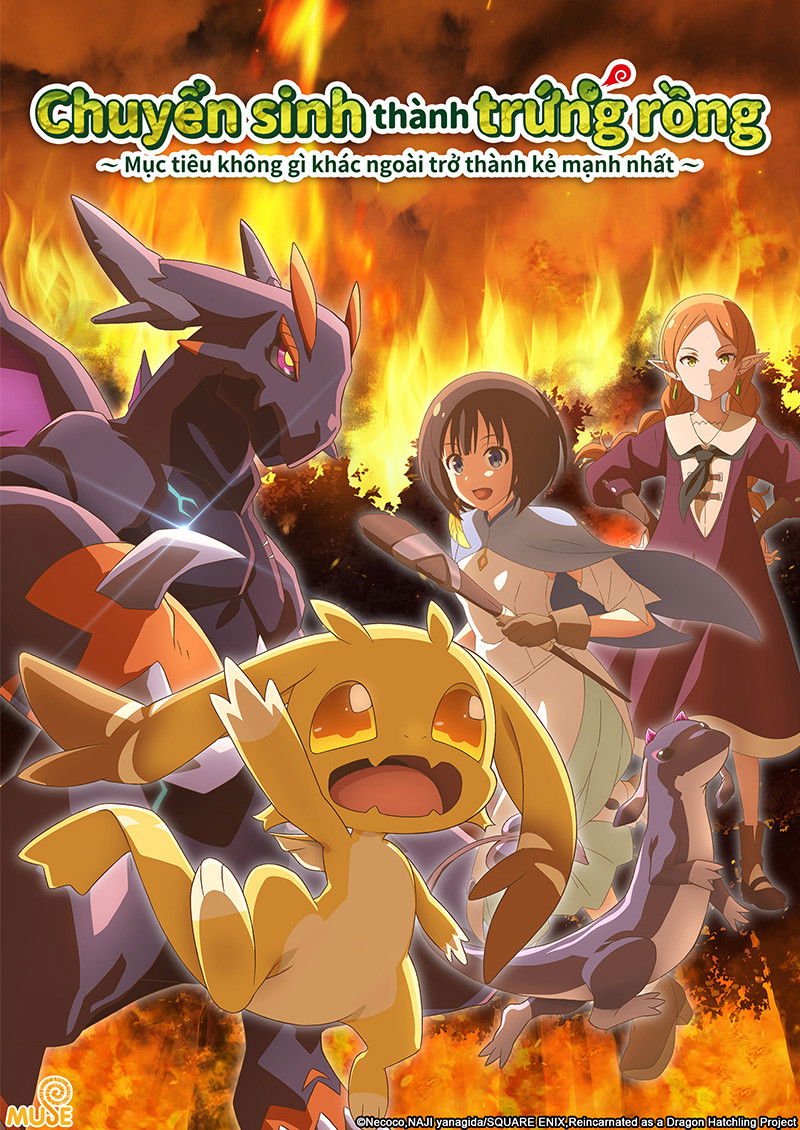 Xem phim Chuyển Sinh Thành Trứng Rồng – Mục Tiêu Không Gì Khác Ngoài Trở Thành Kẻ Mạnh Nhất (Tensei shitara Dragon no Tamago datta) - Motchill